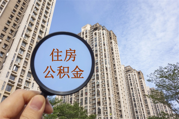 查询我的住房公积金-滨州公积金代办平台